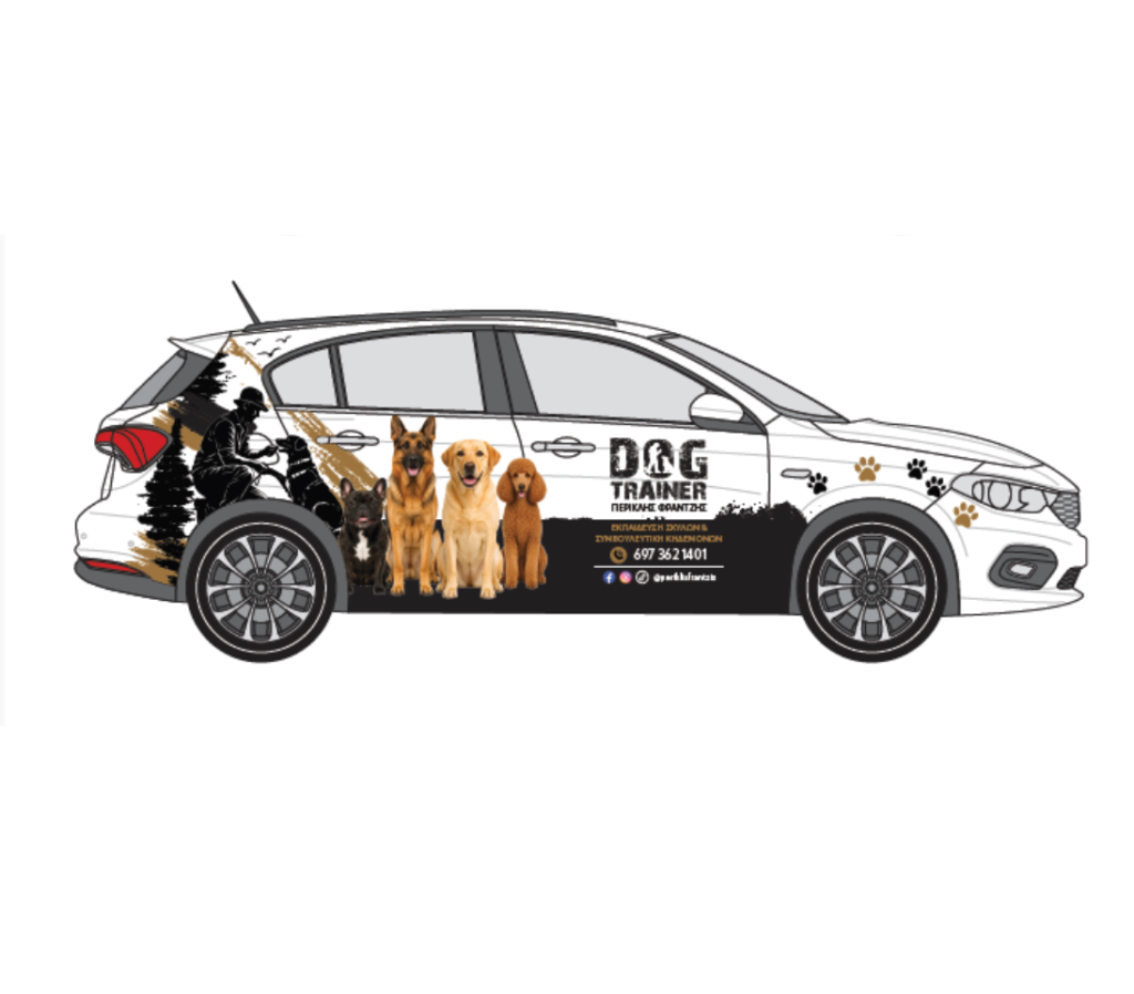 training therapy car